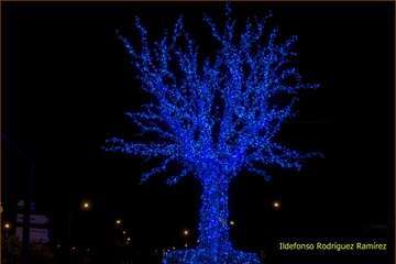 Telde exhibe la Navidad más deslumbrante de los últimos años (Foto Ildefonso Rodríguez)